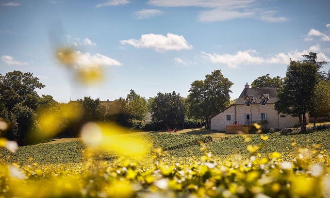 Mercurey Maison | La Maison du Clos du Roi, séjour au Coeur des Vignes en Bourgogne