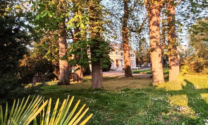 Paray-le-Monial Hôtel | La Maison Verneuil