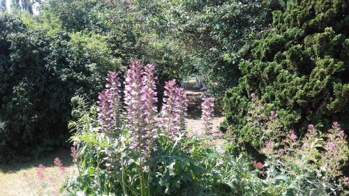 Saint-Aubin-Les-Elbeuf Maison | La maisonnette du Jardin Fleuri