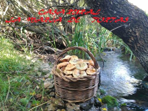 Paterna del Madera Maison | La María de Tortas