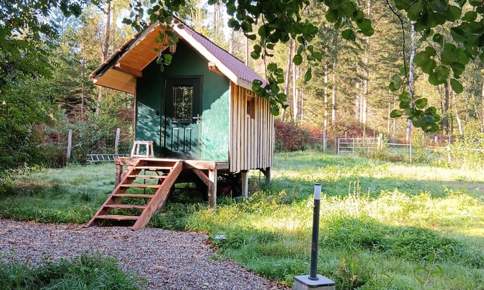 Reipertswiller Cabine | La roulotte et sa petite maison attenante, dans un environnement forestier.