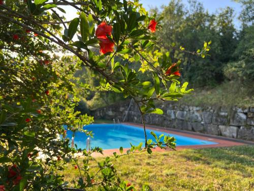 Brisighella Lit Et Petit-Déjeuner | La Melagrana