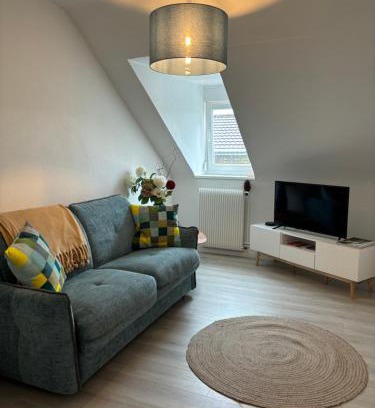 Mulhouse Appartement | La Mulhousienne F3 Centre ville