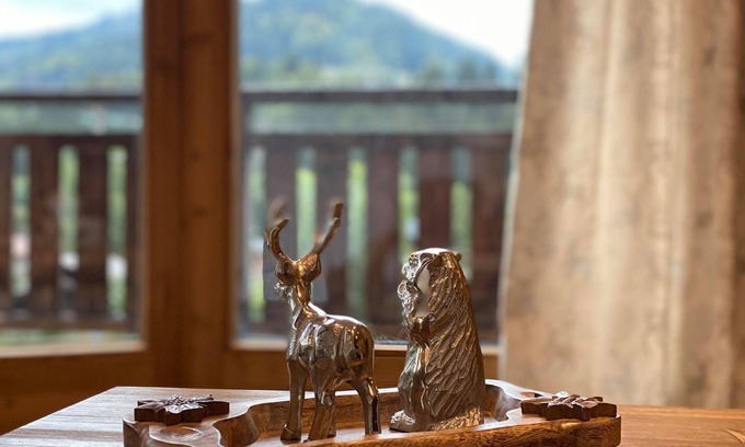 Montriond Appartement | La Petite Azalée