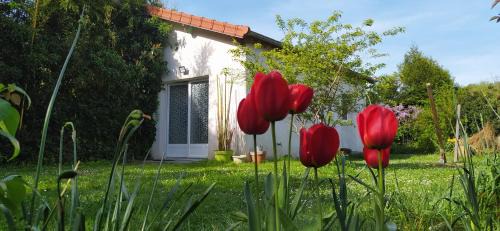 Saint-Remy-les-Chevreuse Maison | La Petite Maison