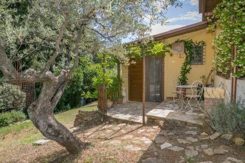 Guardistallo Appartement | La Poggiolina in Toscana