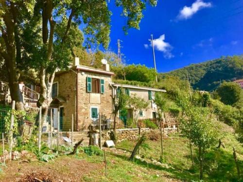 Vernazza Maison | La quiete accesa