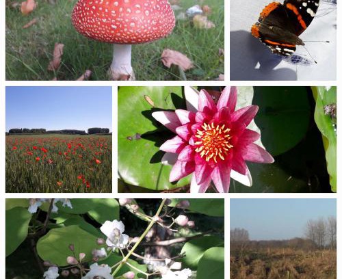Lecelles Appartement | La Résidence des Fleurs