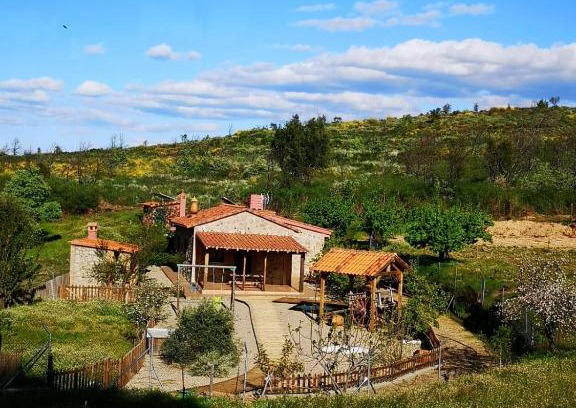 Hoyos Maison | La rachá