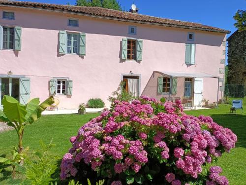 Montastruc-de-Salies Maison | La salamandre de l'escat