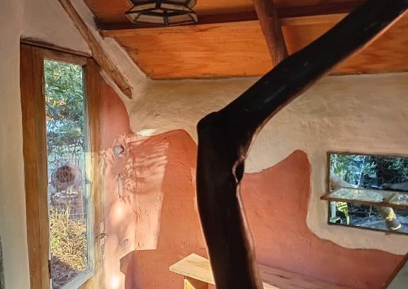 Punta Negra Maison | La semilla Puntanegra