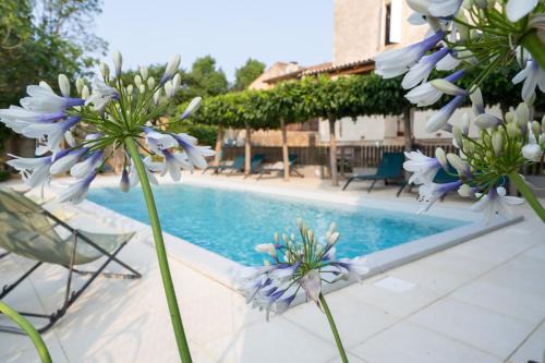 Saint-Chinian Appartement | La Souche Chambres et Table d'Hôtes