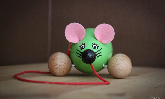 Molamboz Maison | Gite familiale de la Souris Verte et son parc arboré. Calme assuré !