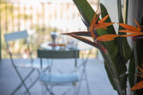 Cervo Appartement | La Strelitzia Cervo Mare