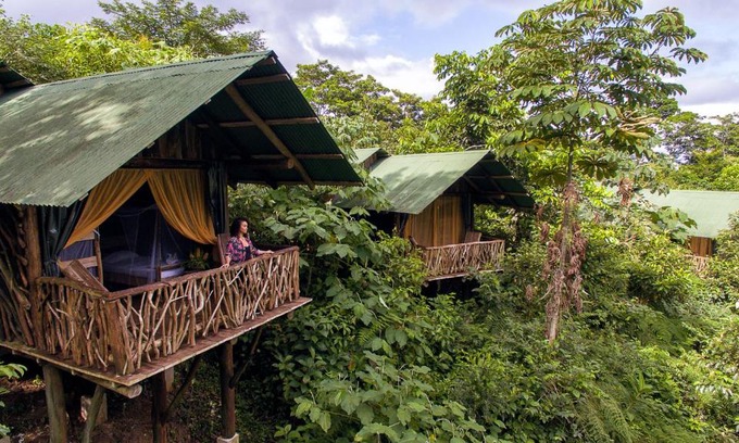 La Tigra Cabine | La Tigra Rainforest Lodge