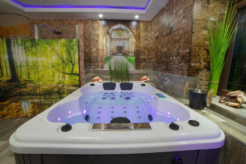 Alhama de Aragon Appartement | LA VEGUILLA DELUXE JACUZZi