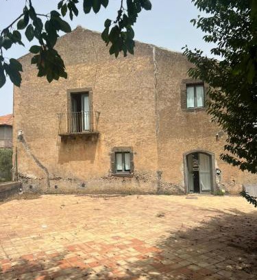 Randazzo Maison | La vigna di Maggi