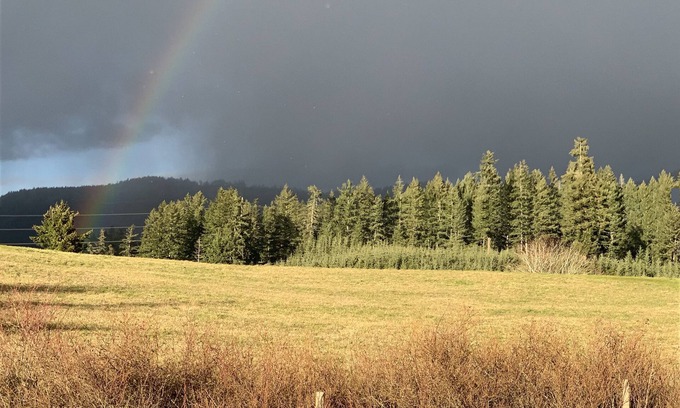 North Cowichan Autre | LACEY MEADOWS Acreage