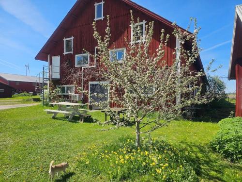 Motala Maison | Ladan