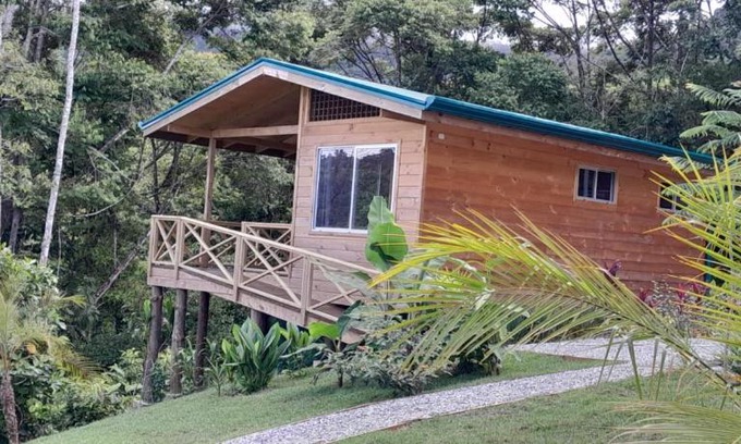 Ballena Maison | Lado Natura