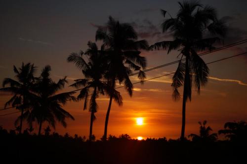 Sukasada Station Balnéaire | Lafyu Bali