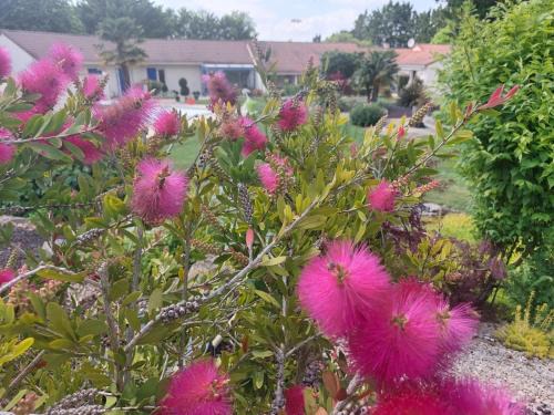 Neuville-de-Poitou Maison | Lagalerne