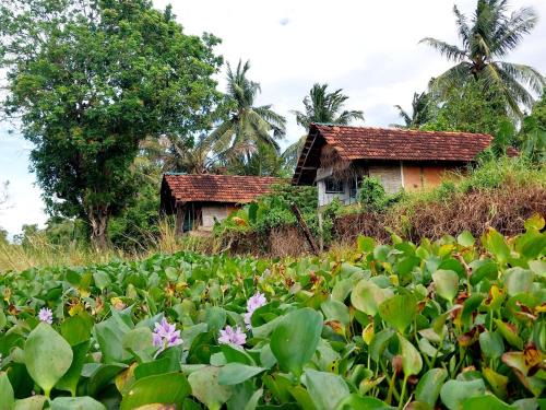 Polonnaruwa Maison | Lake Cabin