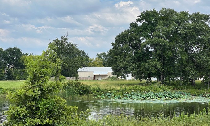 Alba Maison | Lake house off of Lake Fork, one of the best bass fishing lakes in the country!