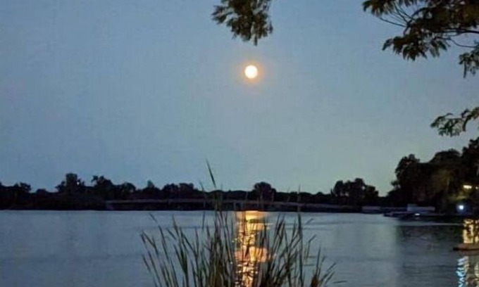 Solon Mills Maison | Lakefront Comfy 1BR Cabin @ The Lake-Heim by Chain-O-Lakes
