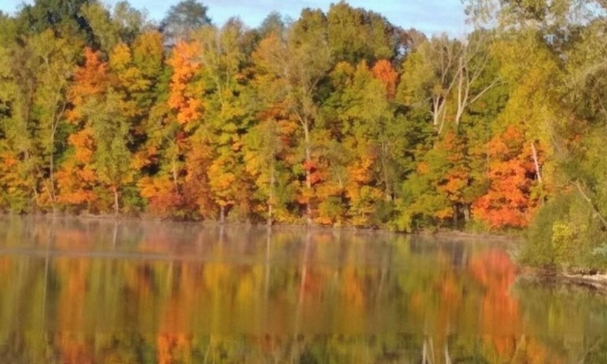 Pioneer Maison | Lakeshore Escape: 3-bedroom, pet friendly home, 10 min from Turnpike