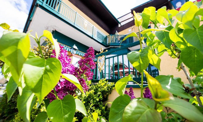 Podersdorf am See Hôtel | Landgasthof zur Goldenen Traube