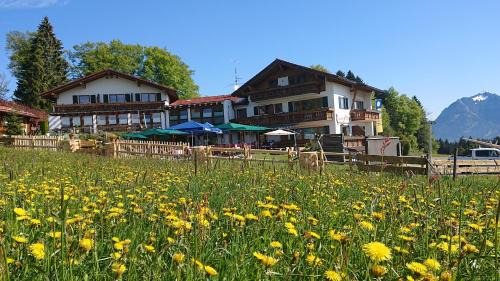 Ofterschwang Hôtel | Landhotel Alphorn