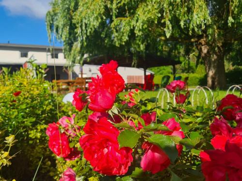 Biendorf Hôtel | Landurlaub nahe Ostseebad Rerik