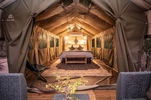 Kruger National Park Cabine | Langa Langa Safari Camp - Inc 2 Kruger Safaris Daily