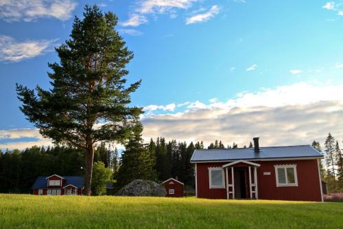 Asele Maison | Lappland Pro Natur
