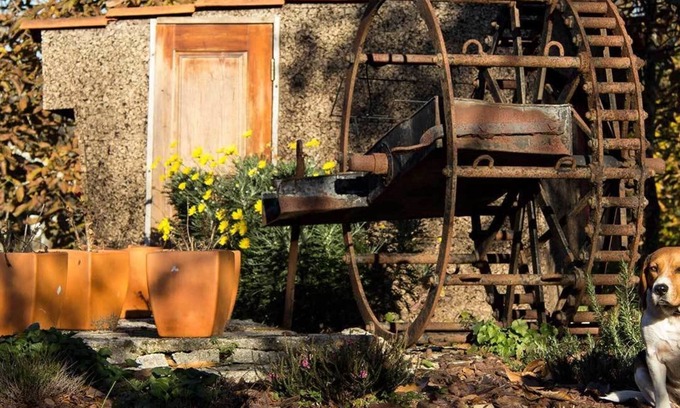 Freixo Maison | Laranjalimao Guest House