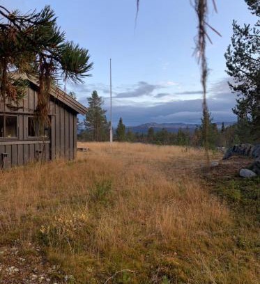 Nore og Uvdal Chalet De Ski | Large and family friendly cabin near Langedrag