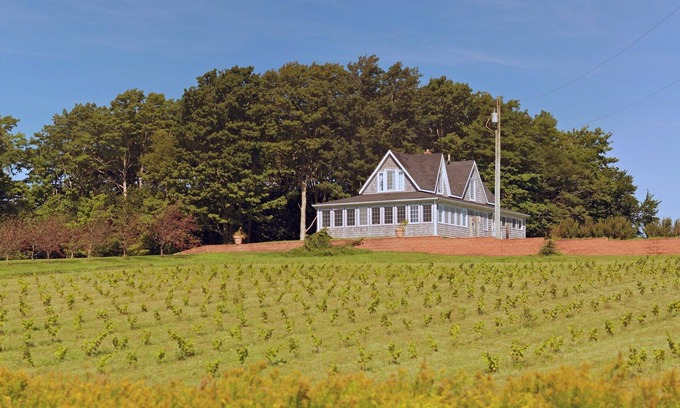 Belle River Maison | Grande maison centenaire avec vignoble biologique. Très privé avec vue grandiose.