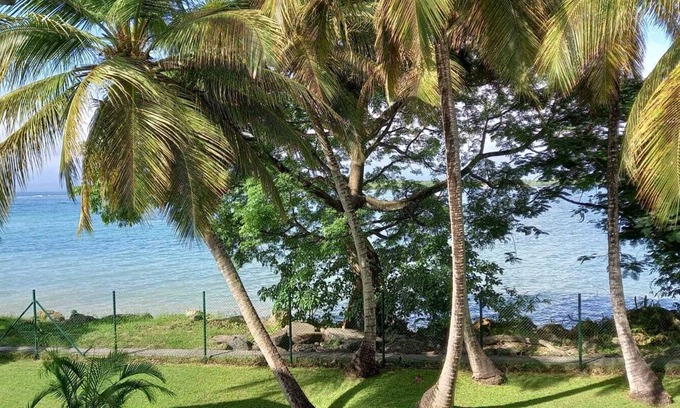 Pointe-a-Pitre Appartement | Grand studio cosy vue mer, piscine et plage
