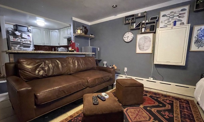 Gowanus Appartement | Large Park Slope 1 Bedroom apartment with backyard access