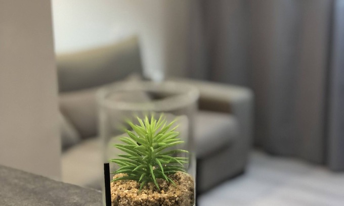 Quartier Saint-Clement - Jardin des Plantes Appartement | GRAND studio spacieux proche de toute commodités !