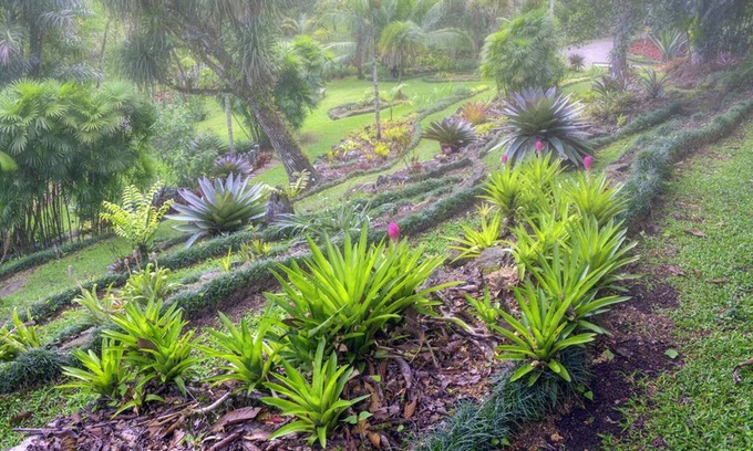 San Vito Hôtel | Las Cruces Biological Station
