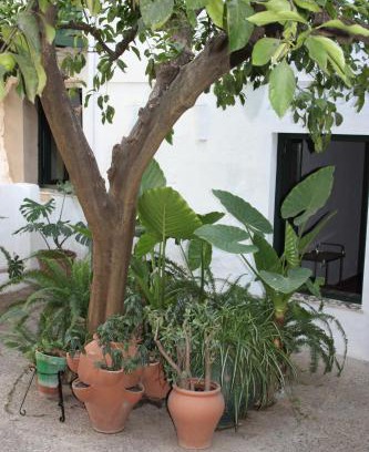 Higuera de la Sierra Maison | Las Jimenas