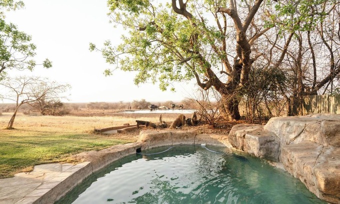 Madikwe Game Reserve Cabine | Last Word Madikwe