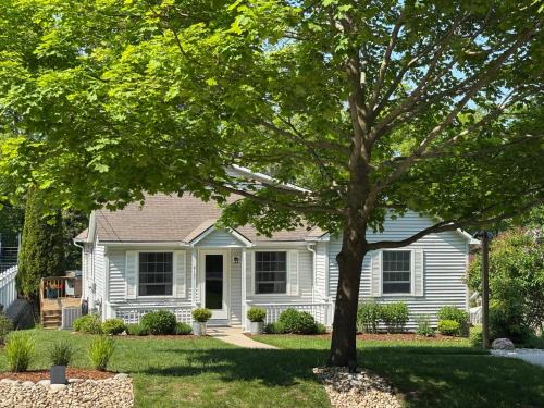 Frankfort Maison | Latitude Adjustment Ii - Simply Gorgeous!