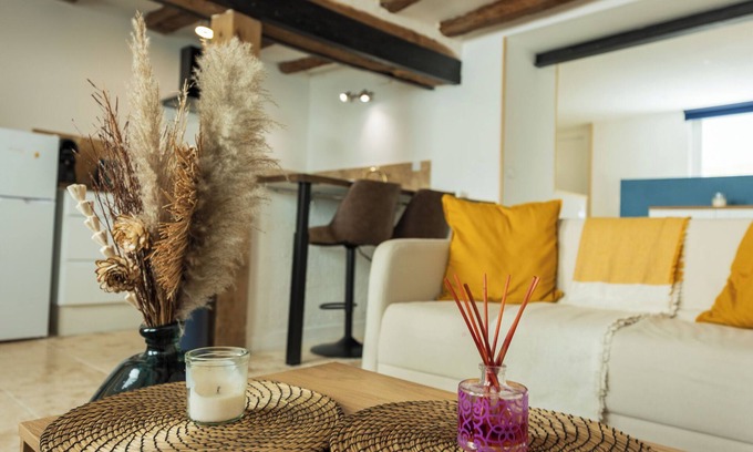 Loches Appartement | Le 7 Bis , à 250m du centre ville de Loches et 30' du ZOO de Beauval