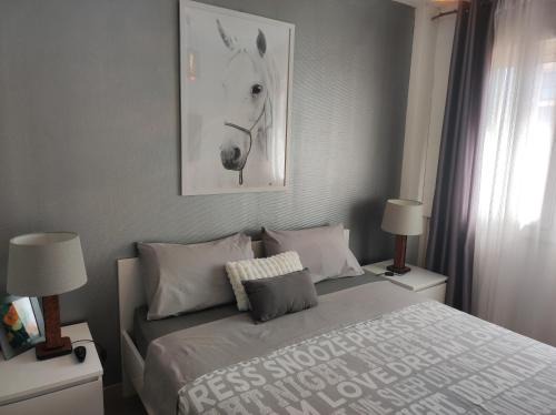 Les Platanes Appartement | Le balcon de la basse centre ville de Perpignan
