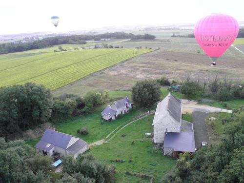 Gennes-Val-de-Loire Autre | Le Bois Davy