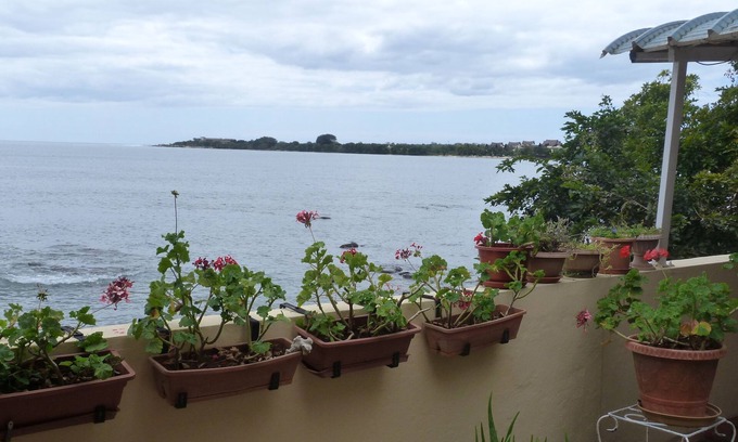 Tombeau Bay Maison | Le Cactus Guesthouse