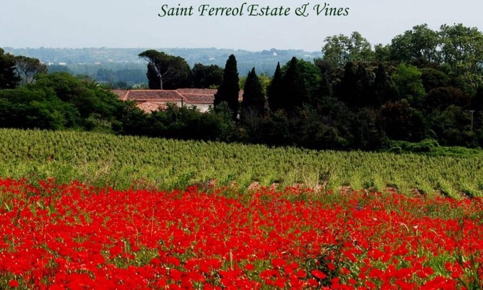 Nizas Villa | Le Caveau DOMAINE SAINT FERREOL